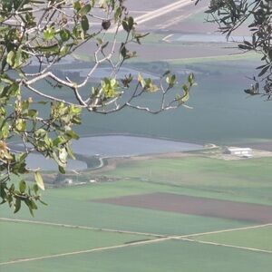 Meet your Posher, Judith